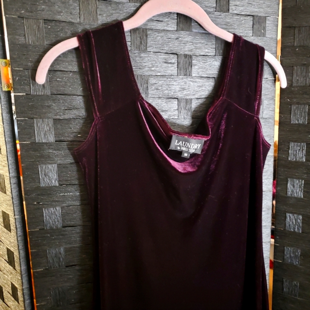 Velour Laundry Dress by Shelly Segan